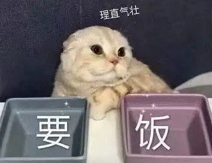 如果要给姐妹安利,们会推荐厂里的哪...
