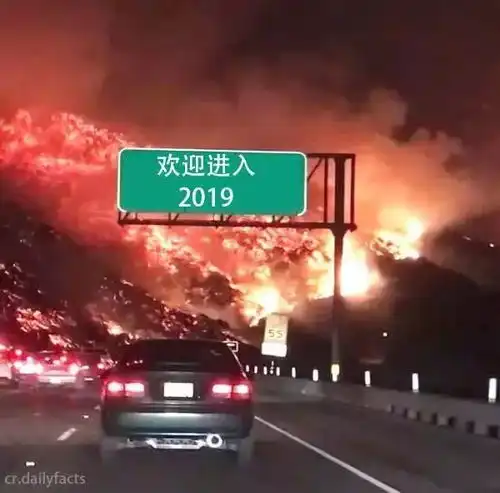 2019年年运正直的活在当下

