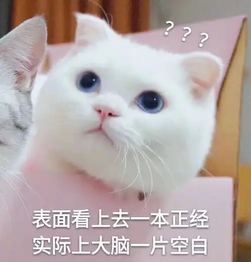 有没有插了耳机却总是担心手机自己突然变成外放模式的
