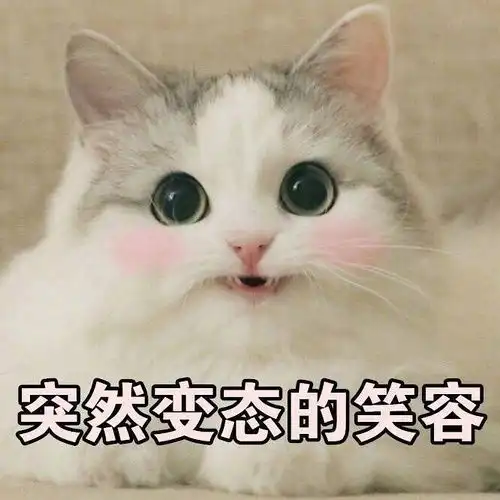 好想聊天呀有没有人想要尬聊嘻嘻
