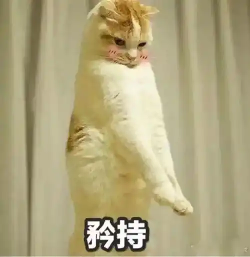 大年三十聊一聊过去一年来律师的生活
