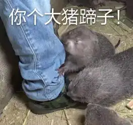 带你进乡村丨第二期竹鼠的一百种死因
