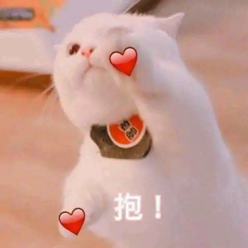 超有趣的藏头诗
