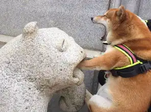 天生演员,柴犬把手放石像嘴里,浮夸表情打满分
