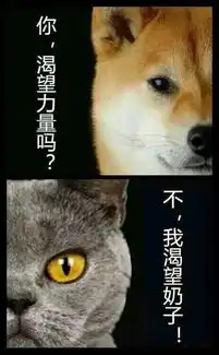 你渴望奶子吗关于电子游戏的乳摇进化史
