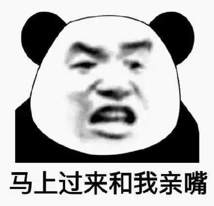 沙雕表情包熊猫头第十六期
