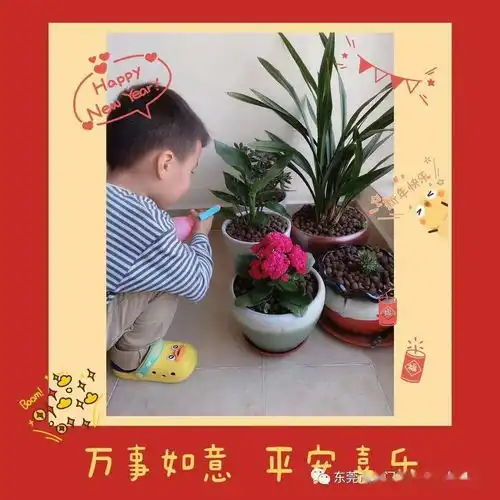 嗨皮牛耶东方明珠萌娃们的春节实在太精彩啦速来围观
