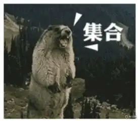 深圳创丰宝暑期特惠教你省出一辆宝马1系
