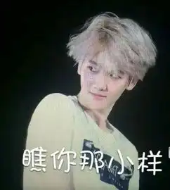 有没有exo十二个人的微信表情包
