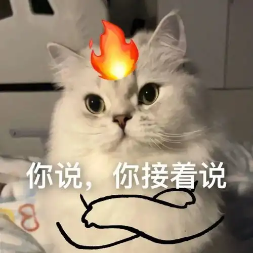 英子宠物亿丢丢实用猫咪表情包
