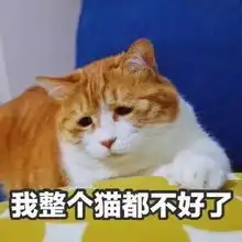 800吨走私冻肉,其中50吨来源疫区,这样的鸡爪你敢吃吗
