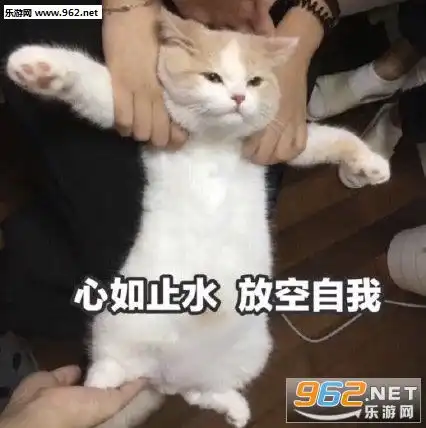 拍成gv表情包卑职告退表情包下载乐游网游戏下载
