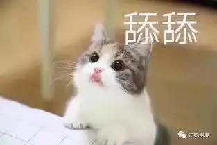 网瘾桃碎碎念你为游戏砸过钱吗
