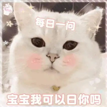 有没有动态猫咪表情包,巨可爱的那种
