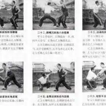 虎鹤双形表情包
