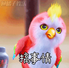 楚乔传里的鹦鹉成了网红会动的表情包太好用了吧
