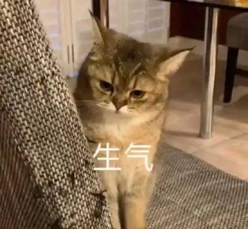 亲一口就跑
