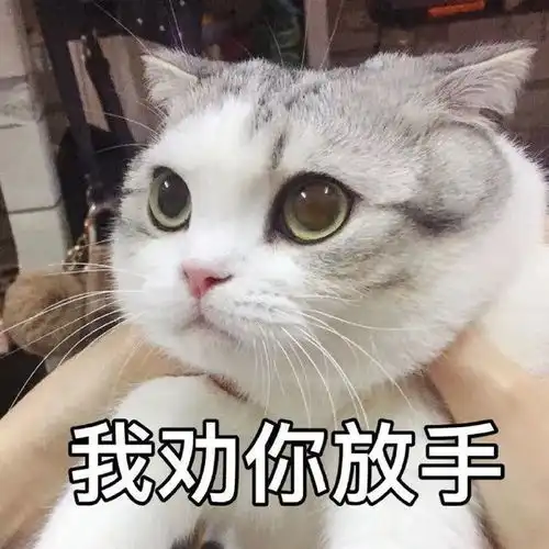 表情包曾经小小少年如今又大又圆
