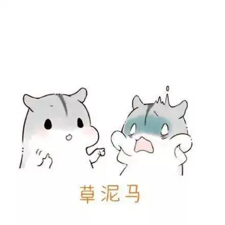 搞笑gif媳妇,你究竟想干嘛
