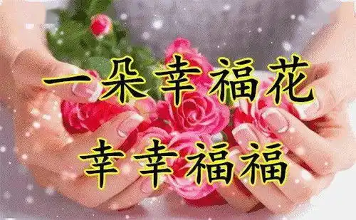 中老年表情包,生活五朵花,人人需要它请查收
