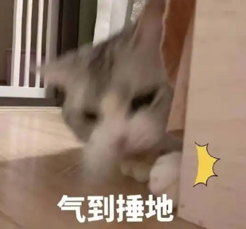 女子买假避孕套后感染真菌,批发商真假混卖太普遍了
