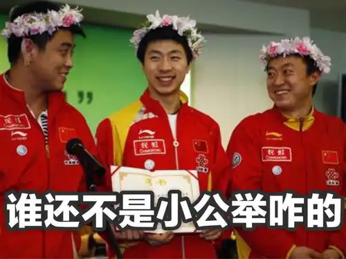 关于奥运会的表情包
