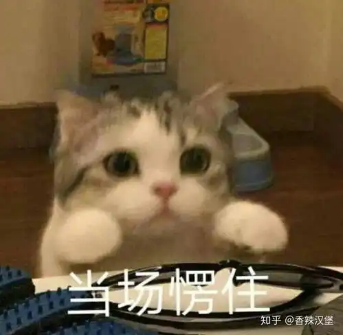 知乎日报知乎
