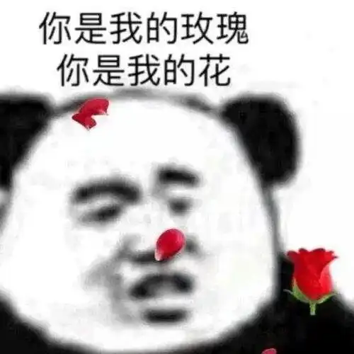 沙雕表情包l我人傻了都
