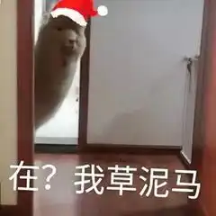 斗图小表情12.25