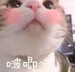 收藏夹

