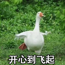表情包鸭鸭傲娇对不起,可爱真的能为所欲为
