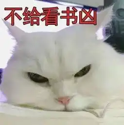 超级凶的猫咪表情包

