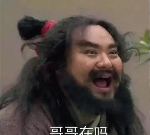 演啥啥不像,都是一个样康凯为莽夫代言
