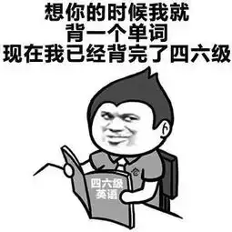 四六级查分通道已经开启啦
