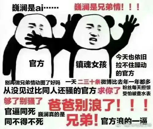 镇魂的表情包大部分是巍澜
