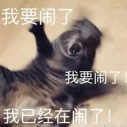 写给丁真的信钢铁直男丁真
