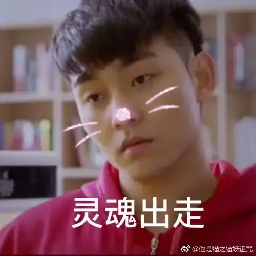 他是猫逗趣表情包来袭,快来唐赫影视领走你的猫男友吧
