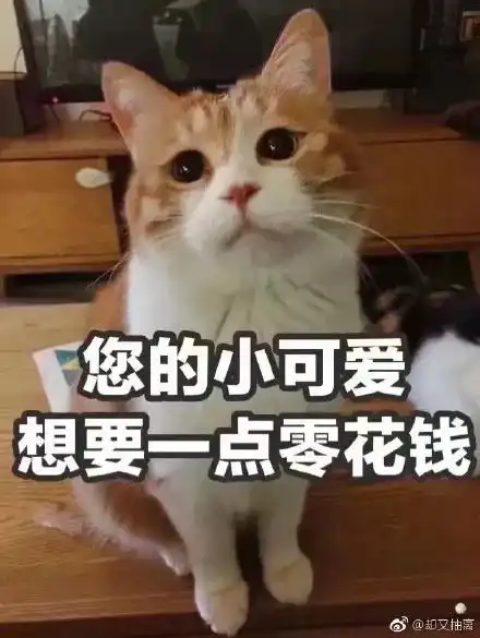 在女院里,我们一个月需要多少生活费
