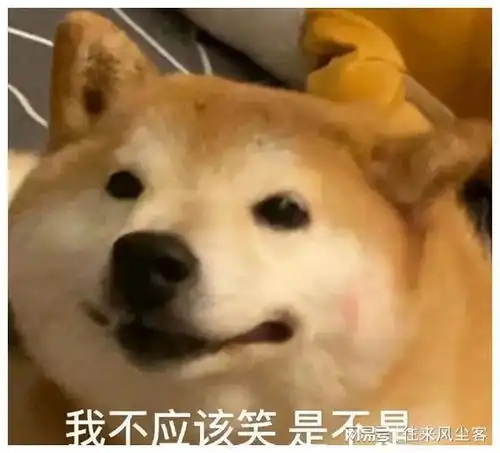 要问恋爱哪家强还是同公司谈的香许凯于正张楠谈恋爱网易订阅
