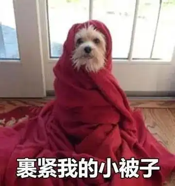 本周雨水又要补货啦
