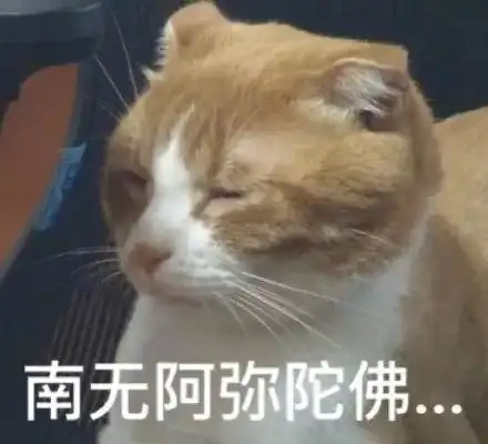 现在明星说话也喜欢捧一踩一
