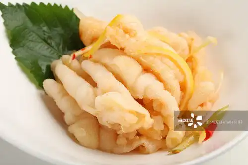 摄影图片
