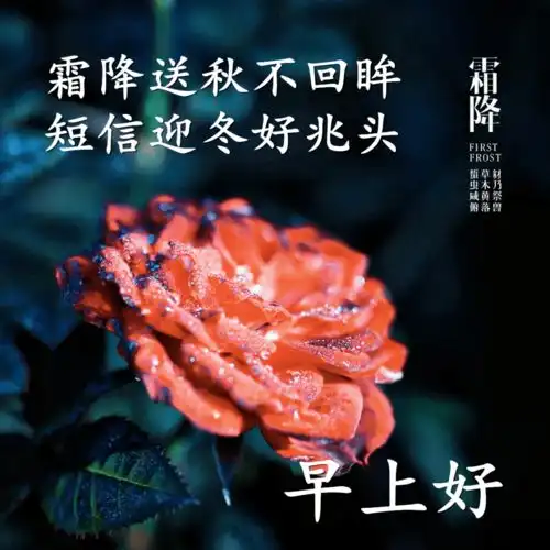 10月23日霜降早上好动态表情图片大全,早晨好美图大全