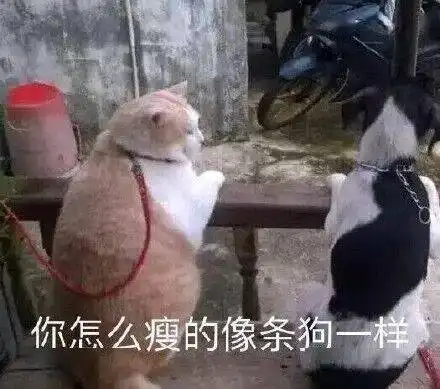 吸烟爽不爽有关吸烟的流言与真相
