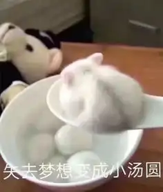 9月观影指南
