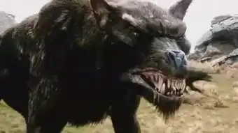 人与狼
