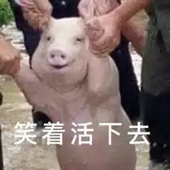 全球有一半的猪被国人吃掉但猪的这5个部位,为何很多人不吃
