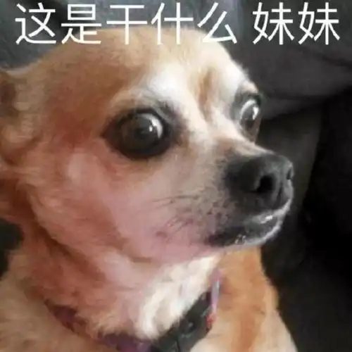 华语乐坛的倒塌,从唱歌不张嘴开始
