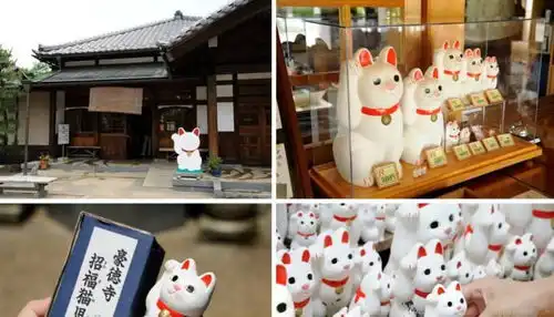 满眼都是招财猫不但让外国人惊叹,连日本人自己都惊讶不已