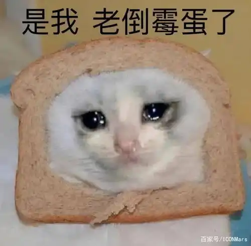 被qs踢出前百的英国大学都怎么样了利兹不再作妖,诺丁汉首跌
